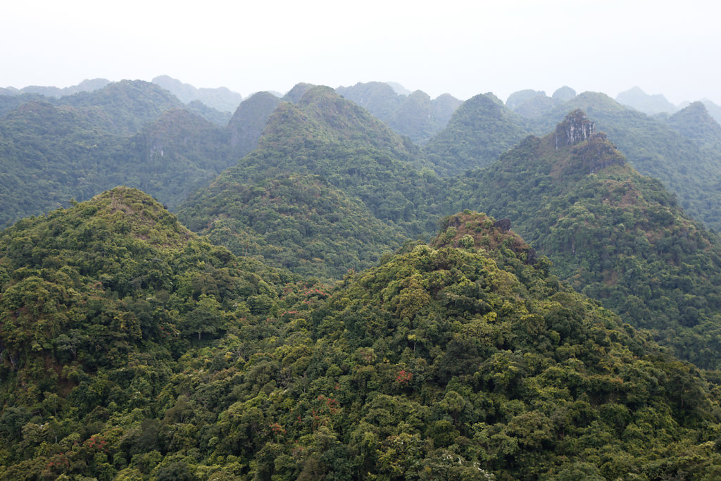 Montagnes-de-Cat-Ba.jpg