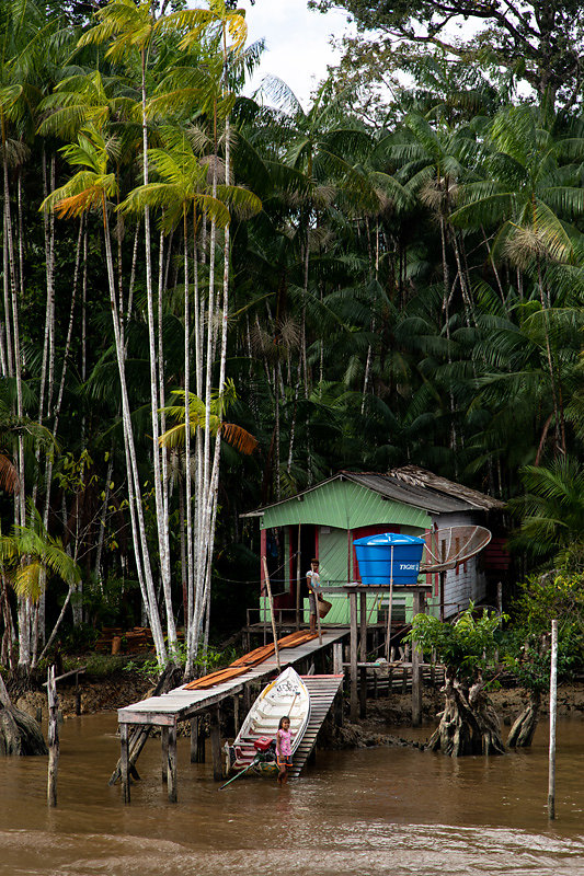 Maisons-dAmazonie.jpg