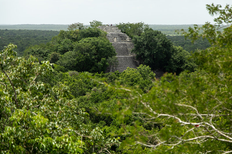 Calakmul.jpg