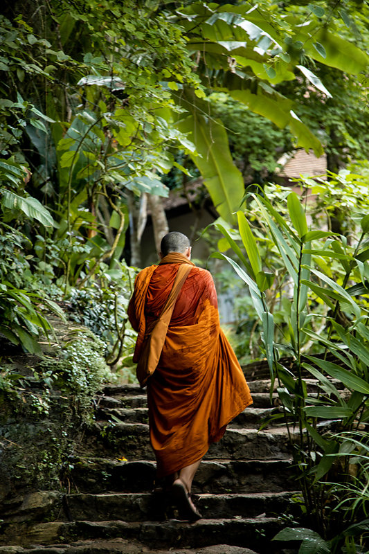 Moine-temple-chiang-Mai.jpg