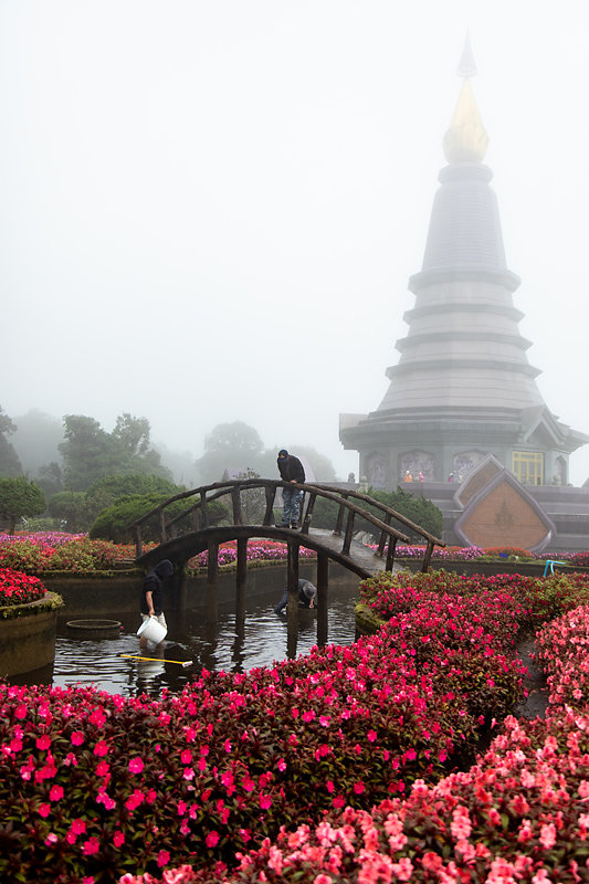 pagode-chiang-Mai.jpg
