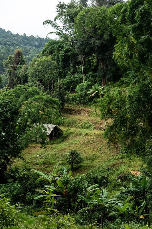 paysage-treck-chiang-mai.jpg