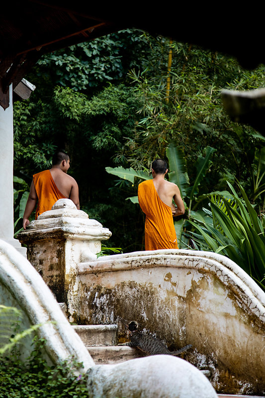 Temple-sauvage.jpg