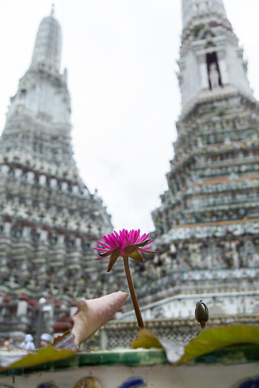 wat-arun.jpg
