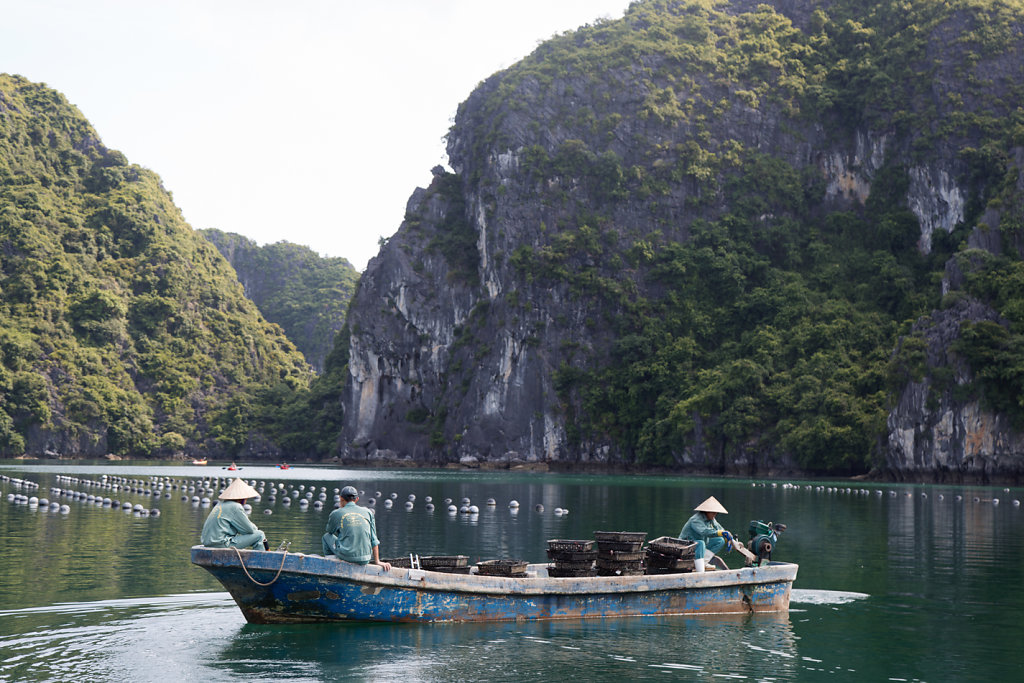 pecheurs-ha-long-pearl.jpg