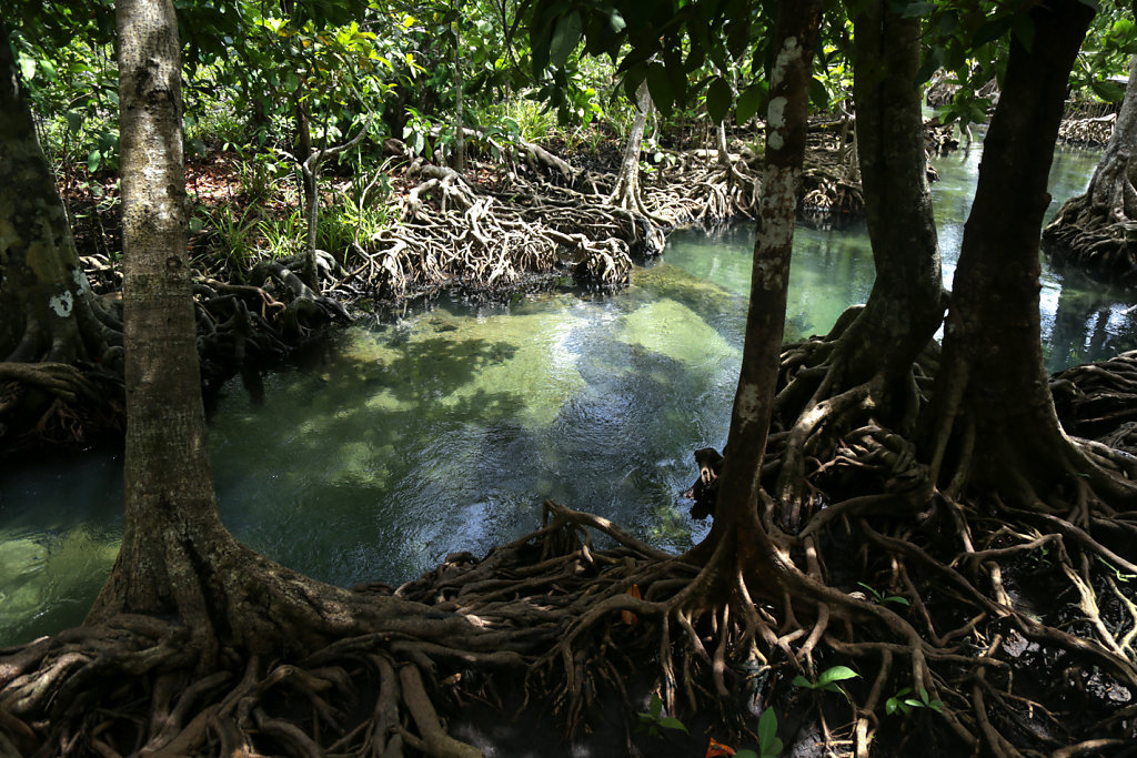 Thailande-Lea-Ratier-179.jpg