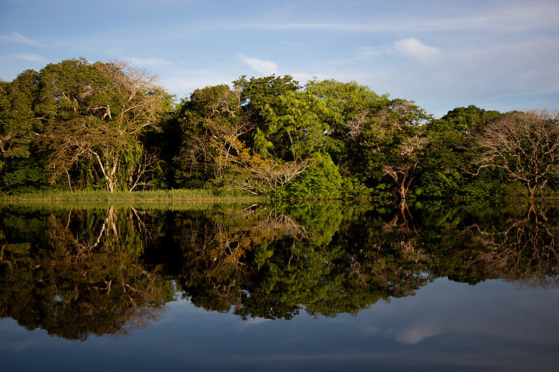 Miroir-Damazonie.jpg